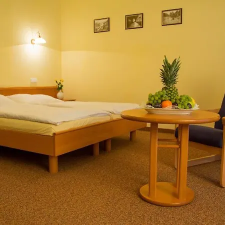 Lazenska Lecebna Manes 3*