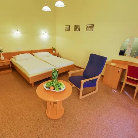 Lazenska Lecebna Manes Hotel