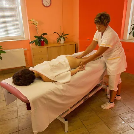 Lazenska Lecebna Manes Hotel 3*