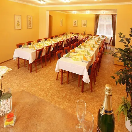 Lazenska Lecebna Manes 3*