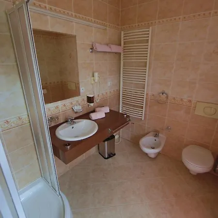 Lázeňská Léčebna Mánes Hotel 3*