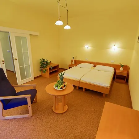 Lázeňská Léčebna Mánes Hotel 3*
