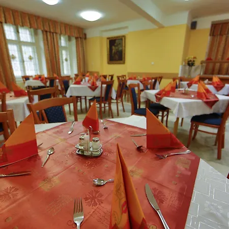 Lázeňská Léčebna Mánes Hotel 3*
